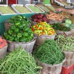 Senior Farmer's Market Coupon Distribution Scheduled