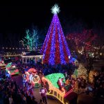 Branson Holiday Show Extravaganza 2019